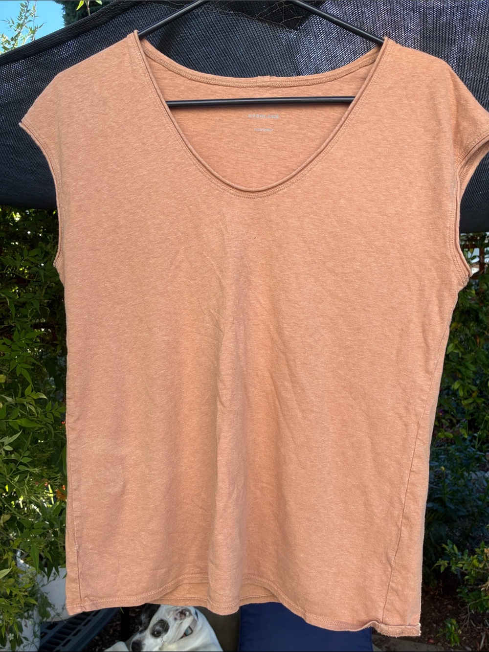 Everlane Women's V-Neck Slouchy Tank Top in Peach, XS